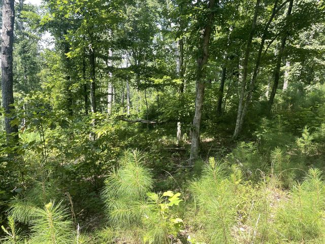 0 Tall Woods Ln, Spencer, TN 38585