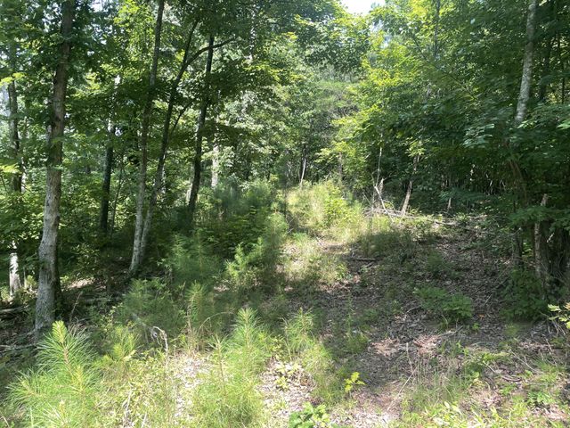 0 Tall Woods Ln, Spencer, TN 38585
