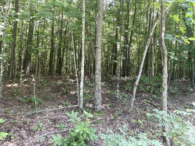 0 Tall Woods Ln, Spencer, TN 38585