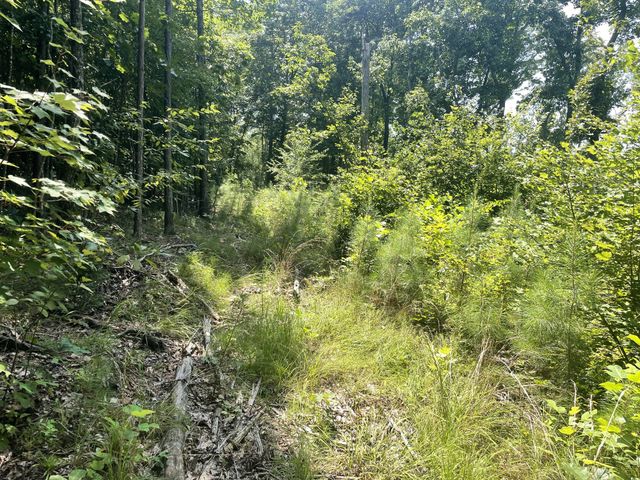 0 Tall Woods Ln, Spencer, TN 38585