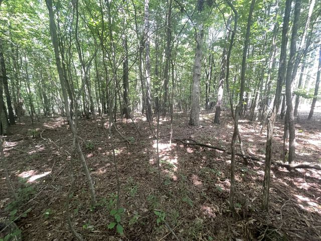 0 Tall Woods Ln, Spencer, TN 38585