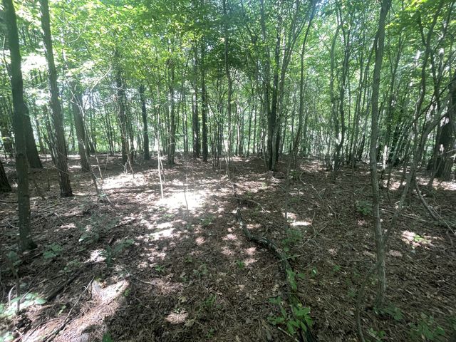 0 Tall Woods Ln, Spencer, TN 38585