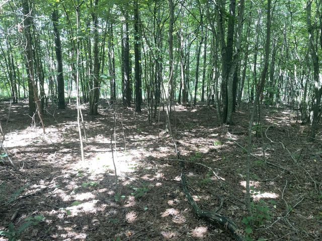 0 Tall Woods Ln, Spencer, TN 38585