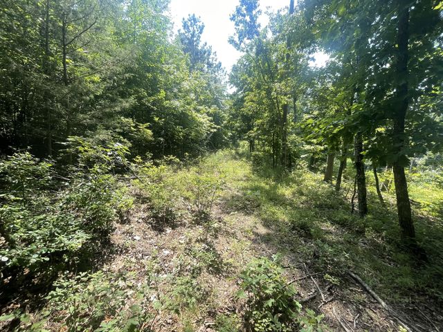 0 Tall Woods Ln, Spencer, TN 38585