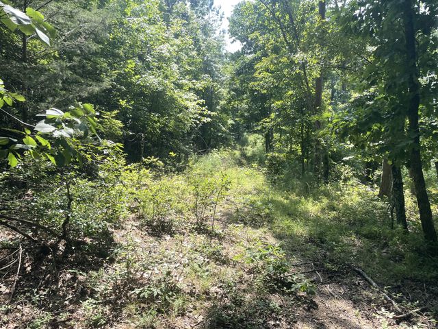 0 Tall Woods Ln, Spencer, TN 38585
