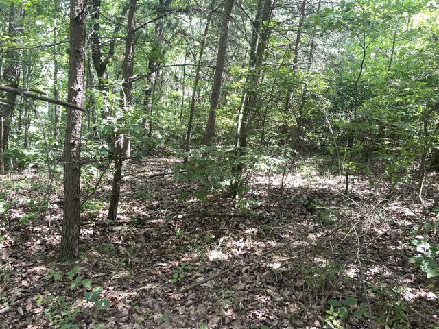0 Tall Woods Ln, Spencer, TN 38585