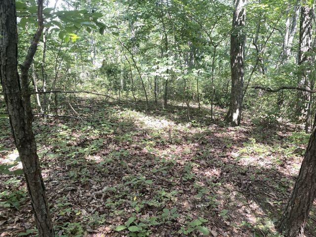 0 Tall Woods Ln, Spencer, TN 38585