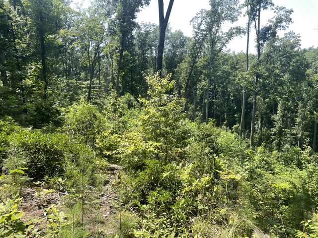 0 Tall Woods Ln, Spencer, TN 38585