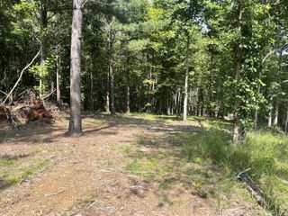 0 Tall Woods Ln, Spencer, TN 38585