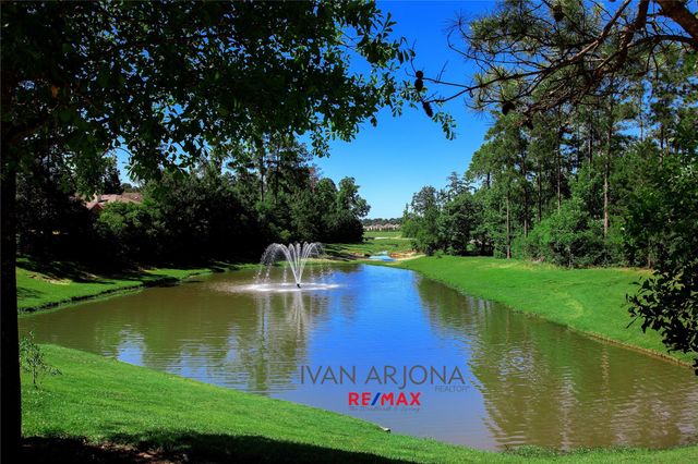 102 Blue Creek, The Woodlands, TX 77382