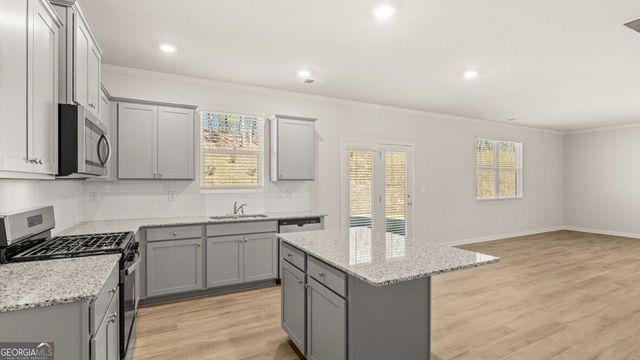 312 Duckweed Drive, Villa Rica, GA 30180