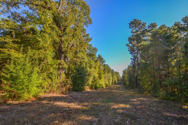 7821 Cr-3409, Chandler, TX 75758