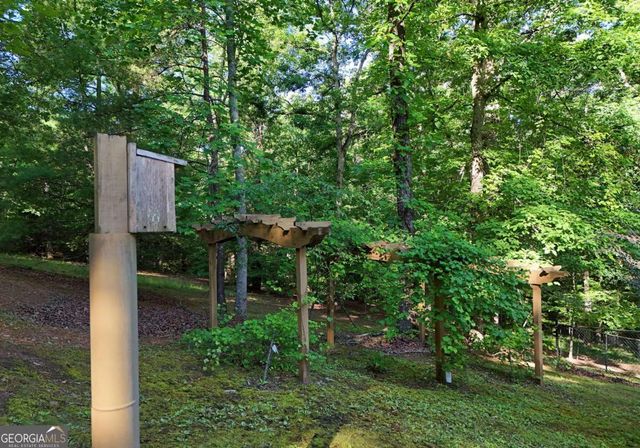 175 Bell Road, Mineral Bluff, GA 30559