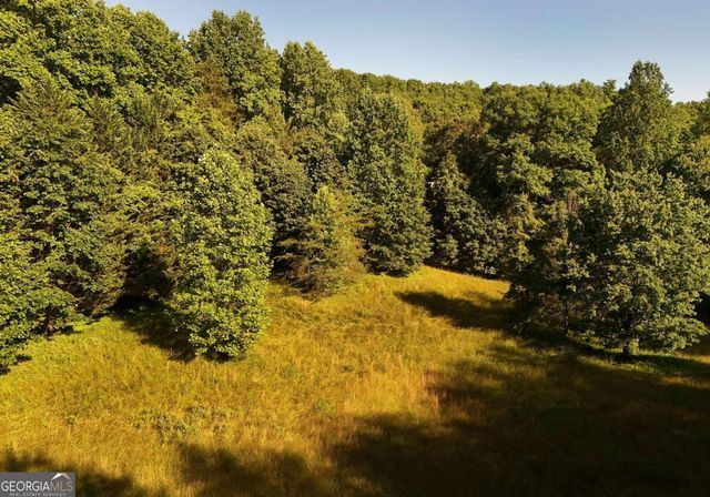 175 Bell Road, Mineral Bluff, GA 30559