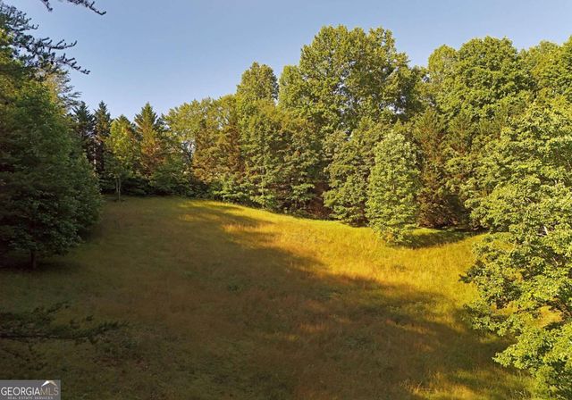 175 Bell Road, Mineral Bluff, GA 30559