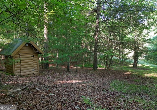 175 Bell Road, Mineral Bluff, GA 30559