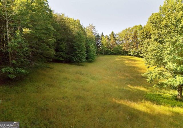 175 Bell Road, Mineral Bluff, GA 30559