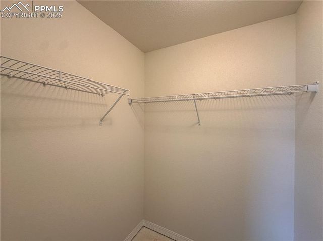 8166 Henzlee Place, Falcon, CO 80831