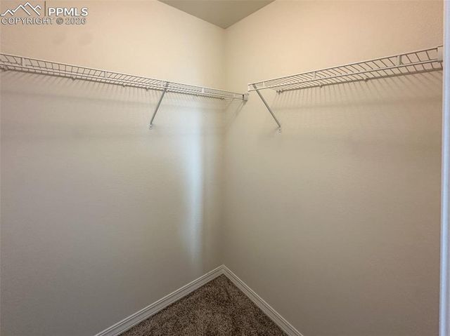 8266 Henzlee Place, Falcon, CO 80831