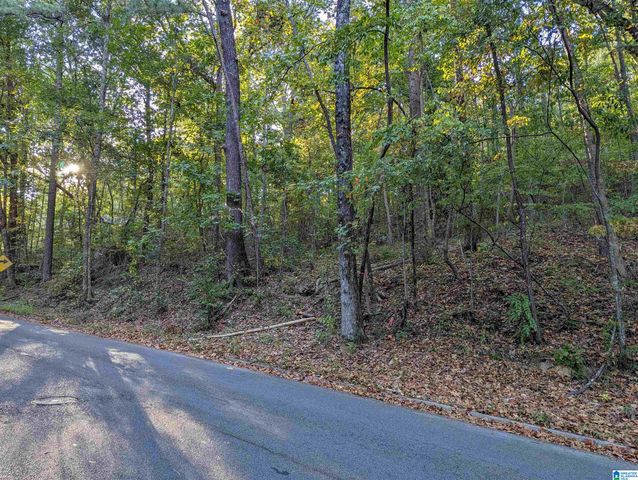 3245 VERDURE DRIVE, Hoover, AL 35226