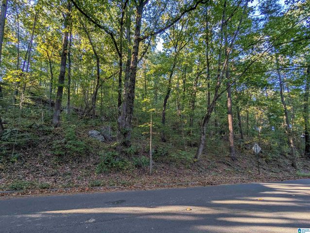 3245 VERDURE DRIVE, Hoover, AL 35226