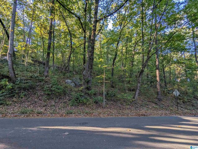 3245 VERDURE DRIVE, Hoover, AL 35226