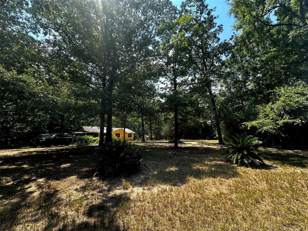 510 Mount Zion Road, Coldspring, TX 77331
