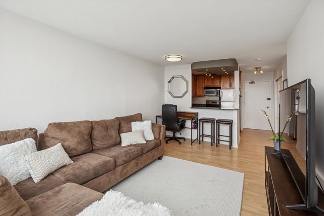 1455 N Sandburg Terrace 1105, Chicago, IL 60610