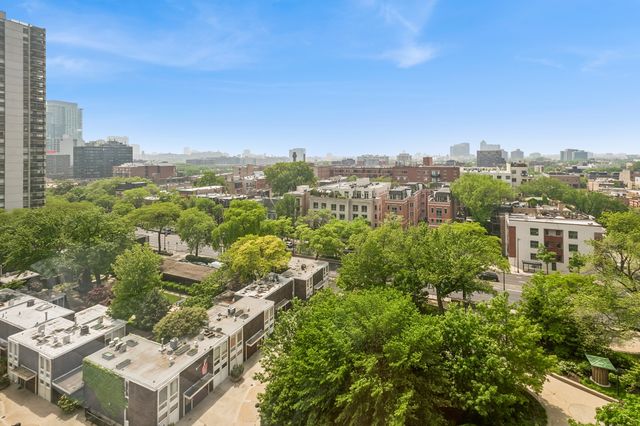 1455 N Sandburg Terrace 1105, Chicago, IL 60610