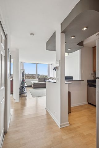 1455 N Sandburg Terrace 1105, Chicago, IL 60610