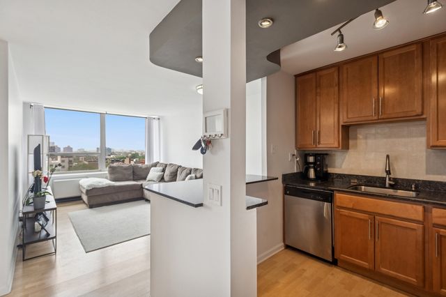 1455 N Sandburg Terrace 1105, Chicago, IL 60610