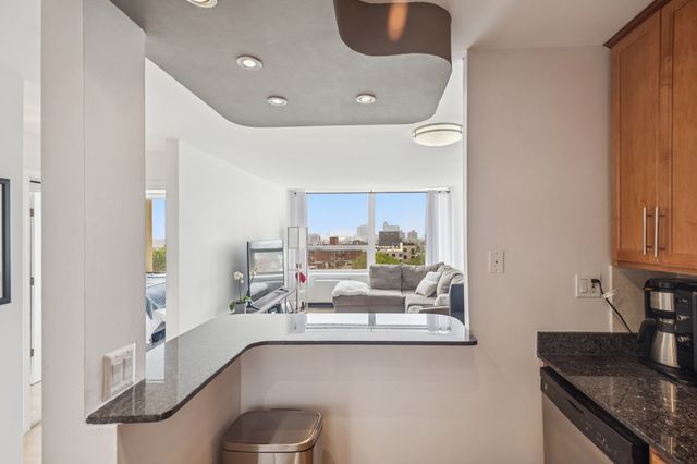 1455 N Sandburg Terrace 1105, Chicago, IL 60610