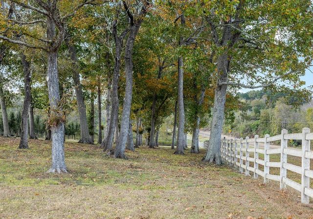 250 Fm 3128, Coldspring, TX 77331