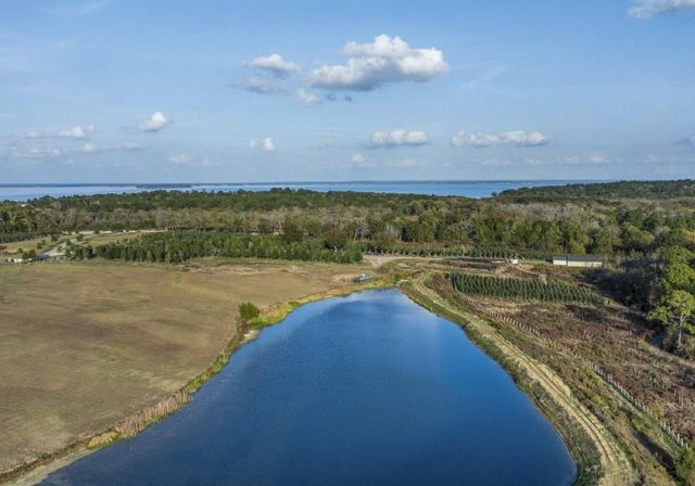 250 Fm 3128, Coldspring, TX 77331