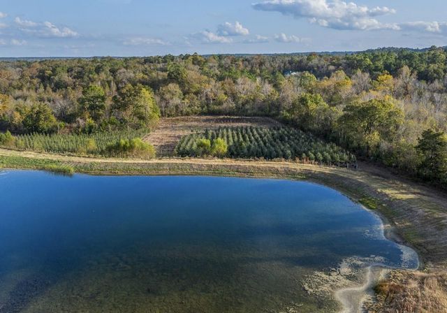 250 Fm 3128, Coldspring, TX 77331