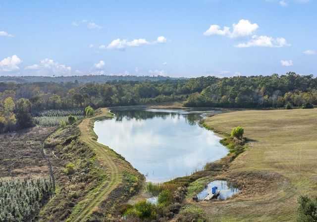 250 Fm 3128, Coldspring, TX 77331