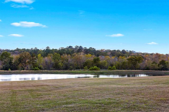 250 Fm 3128, Coldspring, TX 77331