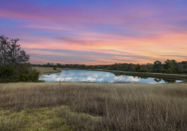 250 Fm 3128, Coldspring, TX 77331