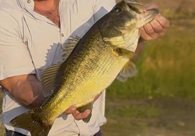 250 Fm 3128, Coldspring, TX 77331