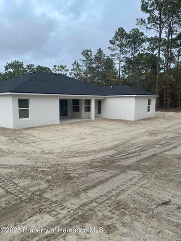 11106 Woodpecker Avenue, Brooksville, FL 34614