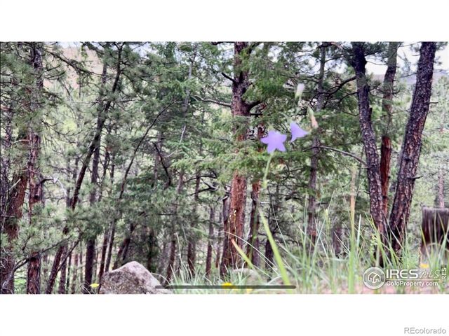 375 Arroyo Chico, Boulder, CO 80302