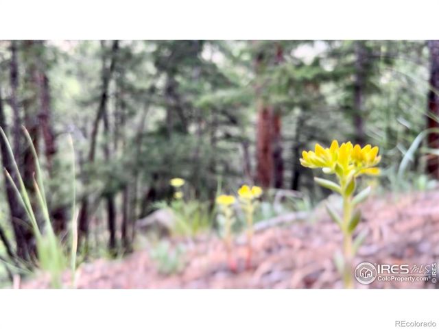 375 Arroyo Chico, Boulder, CO 80302