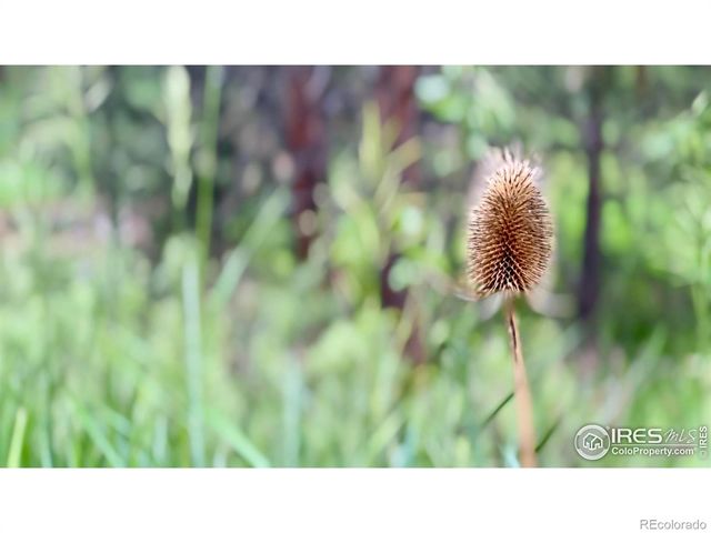 375 Arroyo Chico, Boulder, CO 80302