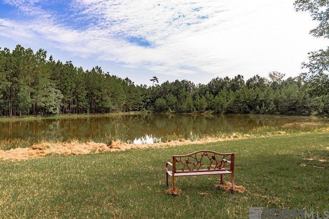 14576 Hwy 10, Clinton, LA 70722