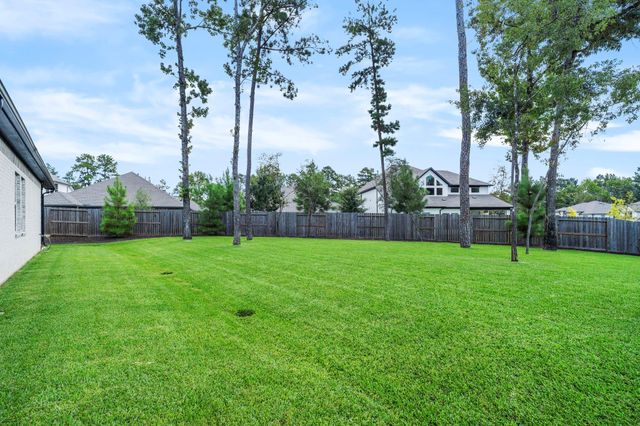 144 Purple Lilac Court, Willis, TX 77318
