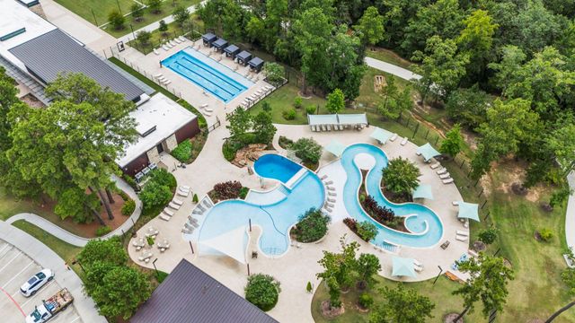 144 Purple Lilac Court, Willis, TX 77318