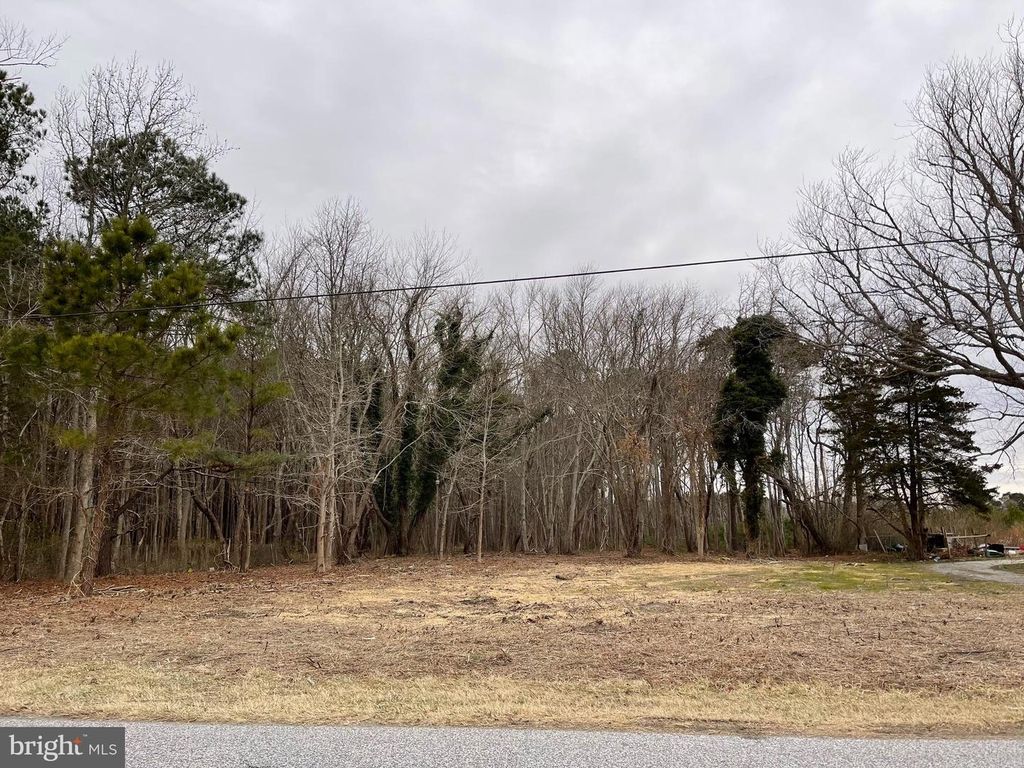 12307 SINEPUXENT ROAD, Berlin, MD 21811