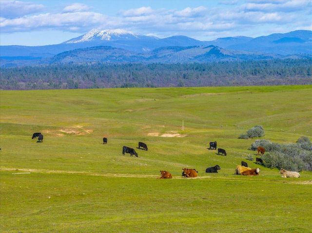 23504 Dersch Road, Anderson, CA 96007