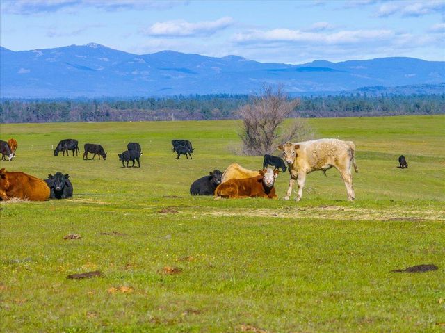 23504 Dersch Road, Anderson, CA 96007