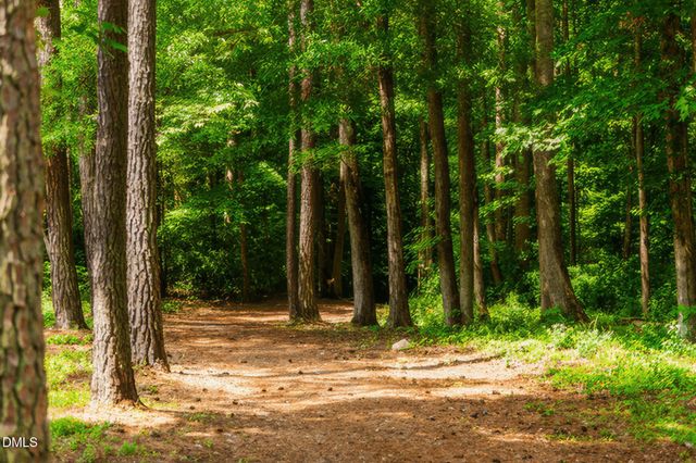 594 Birch Hollow Road, Chapel Hill, NC 27516